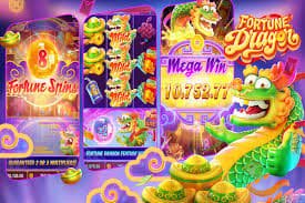 pakki Live Casino